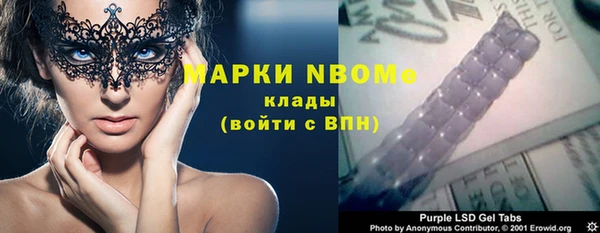 крисы Щигры