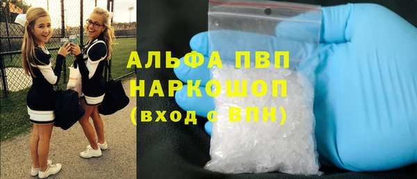 PSILOCYBIN Каменка