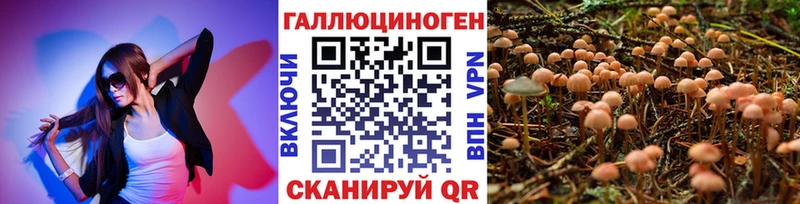 Купить закладки  Комсомольск  Галлюциногенные грибы Magic Shrooms 